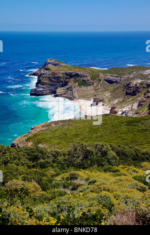 Diaz spiaggia (aka il Capo di Buona Speranza), adiacente al punto del capo, in Sud Africa. Foto Stock