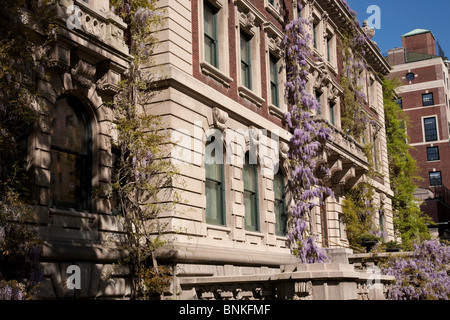 Cooper Hewitt Smithsonian Design Museum di New York Foto Stock