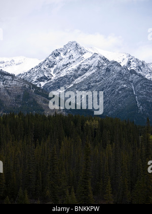 Le montagne della gamma Sawback lungo il Bow Valley. Il Parco Nazionale di Banff Alberta Canada Foto Stock