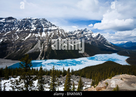 Parzialmente congelato il Lago Peyto chiamato dopo Bill Peyto visto dal Vertice di prua Icefields Parkway il Parco Nazionale di Banff in Canada Foto Stock