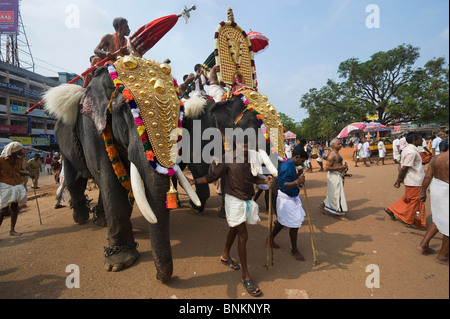 India Kerala Thrissur imbrigliato gli elefanti durante l'Elefante Pooram Festival Foto Stock