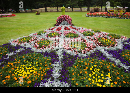 Regno Unito Regno Unito Regno Unito Gran Bretagna Bretagna Scozia Grampian Moray Forres fiori floreali Display floreali parchi Parco Foto Stock