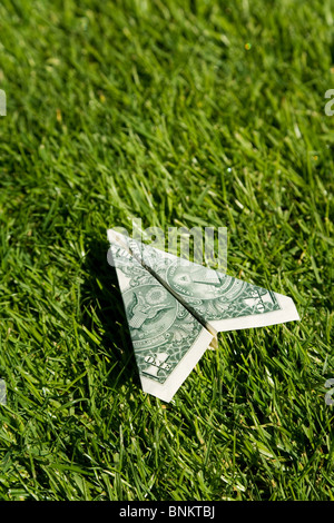 US Dollar aeroplano e l'erba verde, concetto di conservazione ambientale Foto Stock