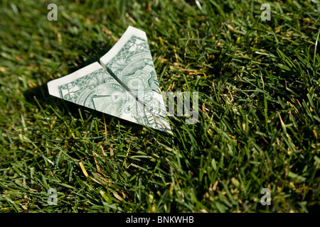 US Dollar aeroplano e l'erba verde, concetto di conservazione ambientale Foto Stock