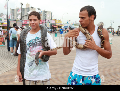 Angry Man holding snake Coney Island NY Foto Stock