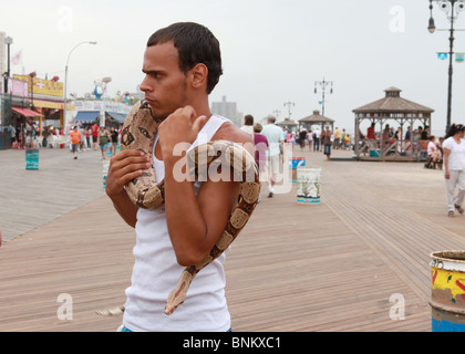 Angry Man holding snake Foto Stock