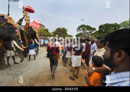 India Kerala Thrissur guardare la gente imbrigliato gli elefanti durante l'Elefante Pooram Festival Foto Stock