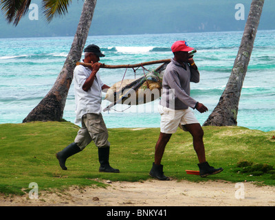 Fisherman portano le loro reti da pesca lungo una spiaggia nella Repubblica Dominicana Foto Stock