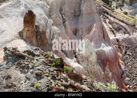 Le formazioni rocciose nel deserto Parco nazionale di Big Bend Texas USA Foto Stock