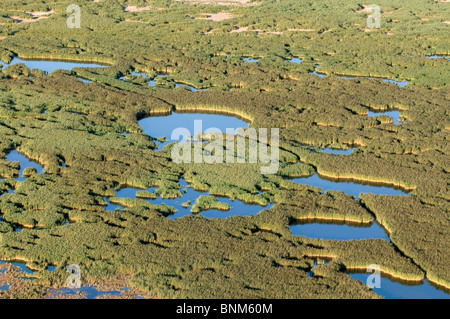 Francia Camargue dipartimento Gard stagno di Charnier vista aerea lago Etang du Charnier verde grana di riso della palude di stagno di acqua da Foto Stock