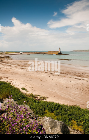 Port Logan, Dumfries & Galloway, Scotland, Regno Unito. Foto Stock