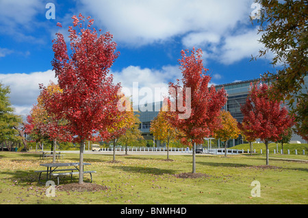 William J. Clinton Presidential Center & Parco esterno della libreria Little Rock Arkansas USA architettura del paesaggio del parco di autunno Foto Stock