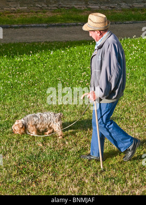 Uomo di mezza età cane a camminare sull'erba - Francia. Foto Stock