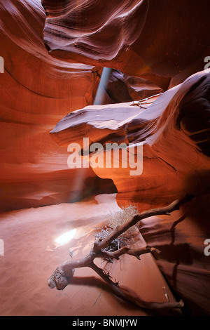 Un mini fascio di luce irradia ed espressiva attraverso una piccola apertura nella parte superiore Antelope Canyon, Pagina, Arizona, Stati Uniti. Foto Stock