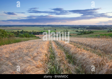 Una vista del fiume Ancholme valle da un campo di orzo in Lincolnshire Wolds su una sera d'estate Foto Stock