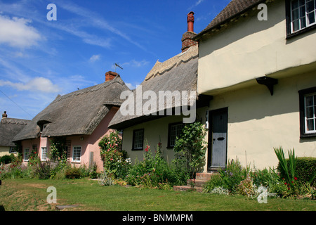 Graziosi cottage con il tetto di paglia in Wendens ambone, Essex Foto Stock