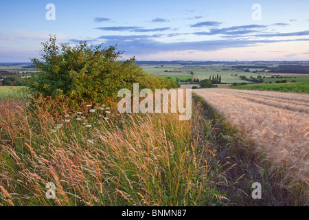 Una vista del fiume Ancholme valle da un campo di orzo in Lincolnshire Wolds su una sera d'estate Foto Stock