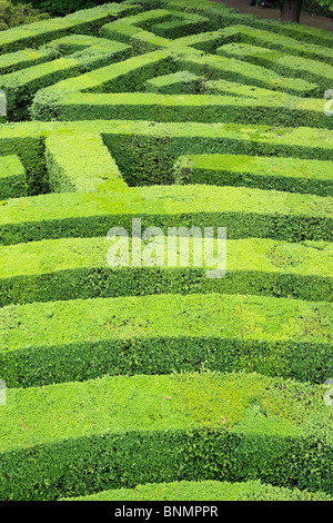 Italia Europa Unione Europa Occidentale edificio di architettura barocca italiana Villa Pisani di Stra Veneto Maze giardino labirinto verde Foto Stock