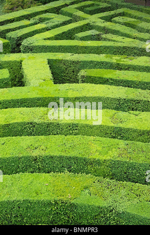 Italia Europa Unione Europa Occidentale edificio di architettura barocca italiana Villa Pisani di Stra Veneto Maze giardino labirinto verde Foto Stock