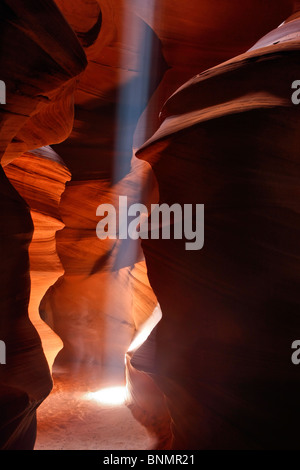 Un singolo fascio di luce nella parte superiore Antelope Canyon, Pagina, Arizona, Stati Uniti. Foto Stock