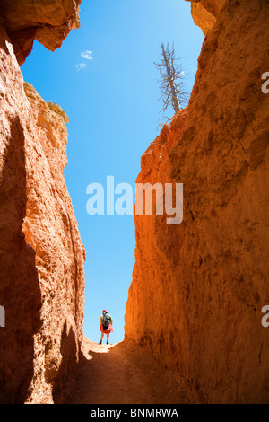 Una donna è escursioni attraverso Bruce Canyon dello Utah Foto Stock