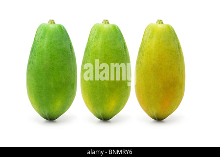 Tre maturazioni papaia frutti su sfondo bianco Foto Stock