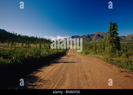 Nabesna Road in estate Wrangell-St Elias NP SC AK Foto Stock