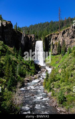Tumalo cade la cascata centrale di curvatura Oregon Oregon USA acqua Foto Stock