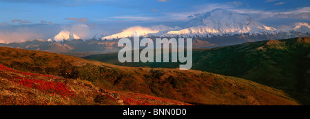 Mt.Mckinley & Alaska Range in autunno Kantishna Colline Foto Stock