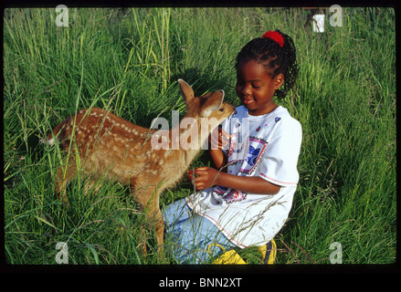 Bambino Animali Domestici Sitka coda nera Fawn Big Game Alaska SC AK estate ritratto Foto Stock