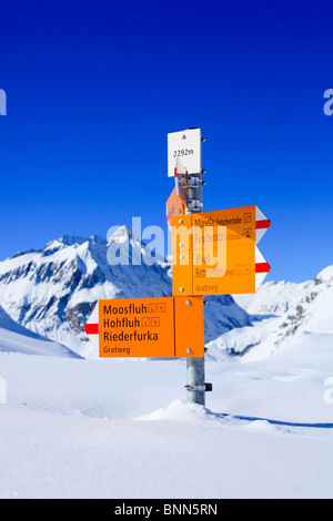 Aletsch area di Aletsch ghiacciaio di Aletsch Alpi mountain mountain panorama ice rock rock forcella aghi montagne vertice ghiacciaio di picco Foto Stock