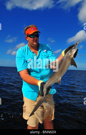 Una fascia costiera di ascensori guida una piccola testa del cofano shark catturati sulle parti piatte della Florida. Foto Stock