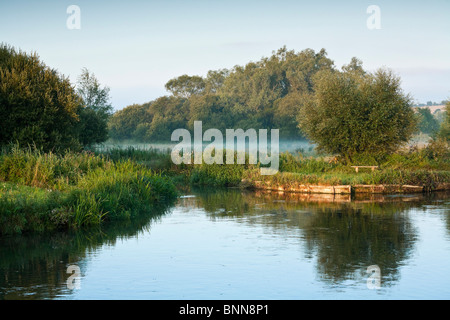 Mattina sul fiume Longstock Test Hampshire REGNO UNITO Foto Stock