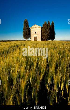 Serata sole sul campo di grano e Cappella di Vitaleta nei pressi di San Quirico d'Orcia, Toscana Italia Foto Stock