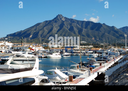 Le barche nel porto di Puerto Banus a Marbella, Costa del Sol, provincia di Malaga, Andalusia, Spagna, Europa occidentale. Foto Stock