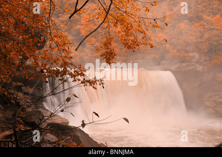 Grande cade Cumberland Falls membro Resort Park Kentucky USA America Stati Uniti d'America Waterfall Autumn Fall Foto Stock