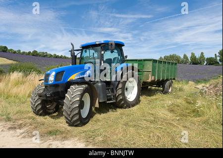 Agricoltura in campagna in estate Foto Stock