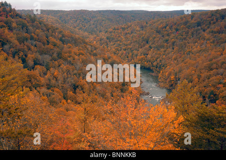 Bordo orientale si affacciano sul fiume Autunno colori colori grande sud Forcella Fiume Nazionale e area ricreativa Tennessee USA America United Foto Stock