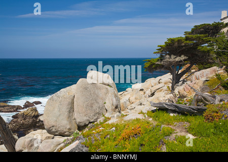 Robusto rocciosa costa dell'Oceano Pacifico il 17-Mile Drive a Pebble Beach sulla penisola di Monterey in California Foto Stock