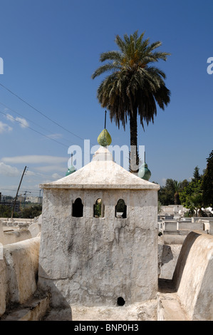 Tomba imbiancata di Martire Ebraico Solica, Cimitero Ebraico, Mellah di Fez, Fez, Marocco Foto Stock