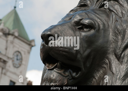 Trafalgar Square Lion Foto Stock