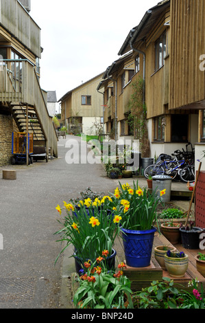 Springhill Eco-Housing, cohousing, comunità sociale l'alloggiamento. Stroud Gloucestershire. Inghilterra, Regno Unito. Foto Stock