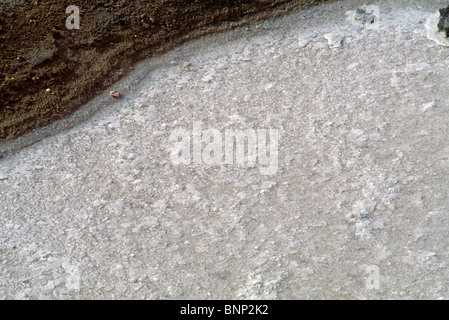 Chott el Djerid Tunisia endorheic Salt Lake la più grande Salt Pan del deserto del Sahara - primo piano dei cristalli di sale Foto Stock