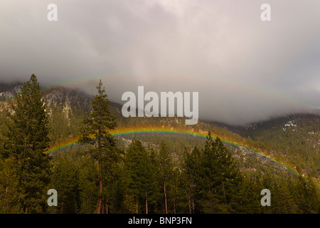 Rainbow appare sopra gli alberi come doccia a pioggia passa attraverso l'estremità nord del Lake Tahoe, Nevada, Stati Uniti d'America. Foto Stock