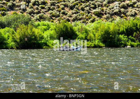 Guidate la pesca a mosca da un galleggiante barca, Madison River, Montana Foto Stock