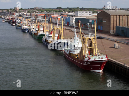 Una flotta di navi per la pesca a strascico nel porto di Ijmuiden nei Paesi Bassi, l'Europa. Foto Stock