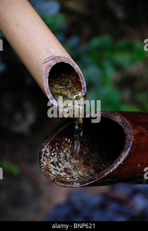 Fontana presso il Museo Morikami e giardini giapponesi è un centro di arti giapponesi in Palm Beach County Florica. Foto Stock