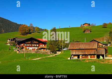 Tradizionale casa di campagna in un rotolamento paesaggio autunnale vicino a Gstaad nell Oberland bernese, Svizzera Foto Stock