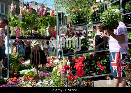 Il venditore che mostra la sua mercanzia, Columbia Road Flower Market, LONDRA, E2, England, Regno Unito Foto Stock