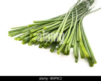 Aromatica erba cipollina fresca su sfondo bianco Foto Stock